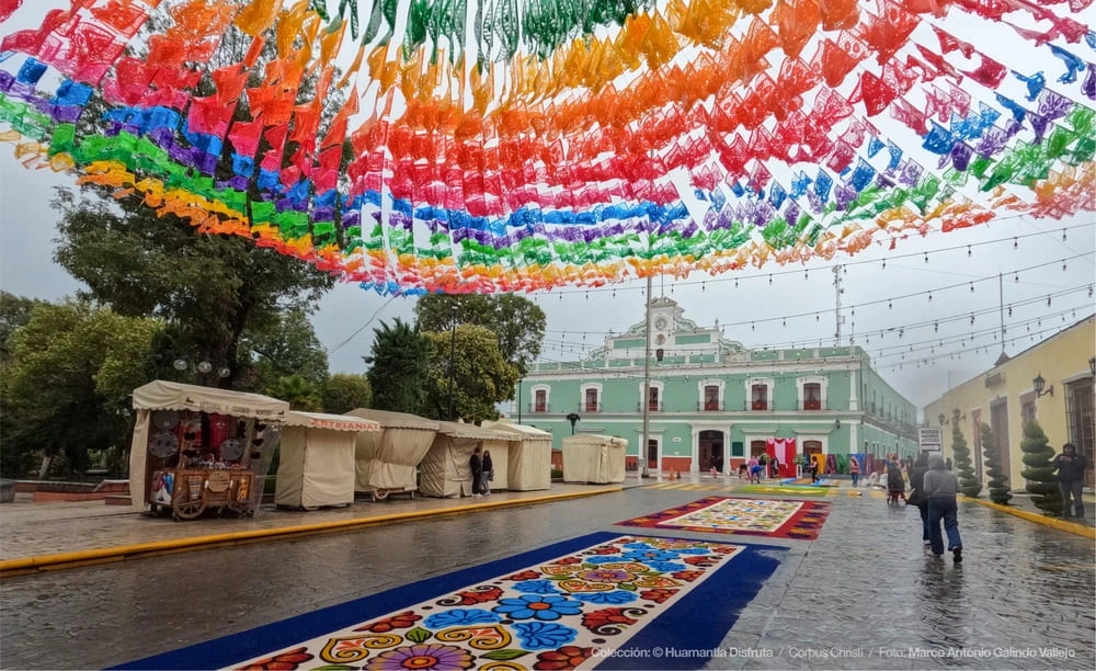 Detalle de alfombra de Corpus Christi
