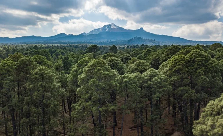 La Malinche