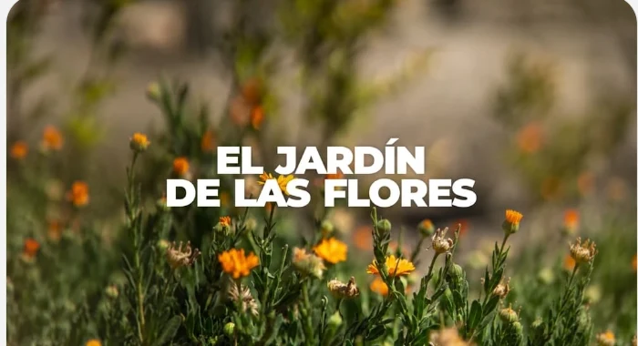 El Jardín de las Flores