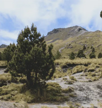 Suelos y paisaje de La Malinche