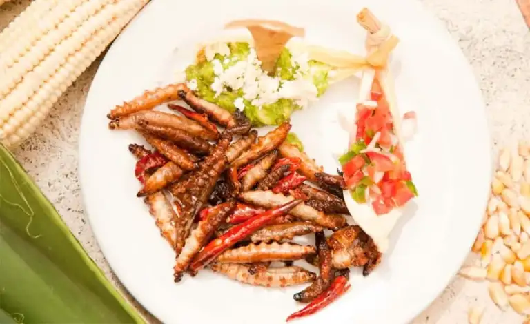 Gusanos de Maguey - Gastronomía en Huamantla Tlaxcala