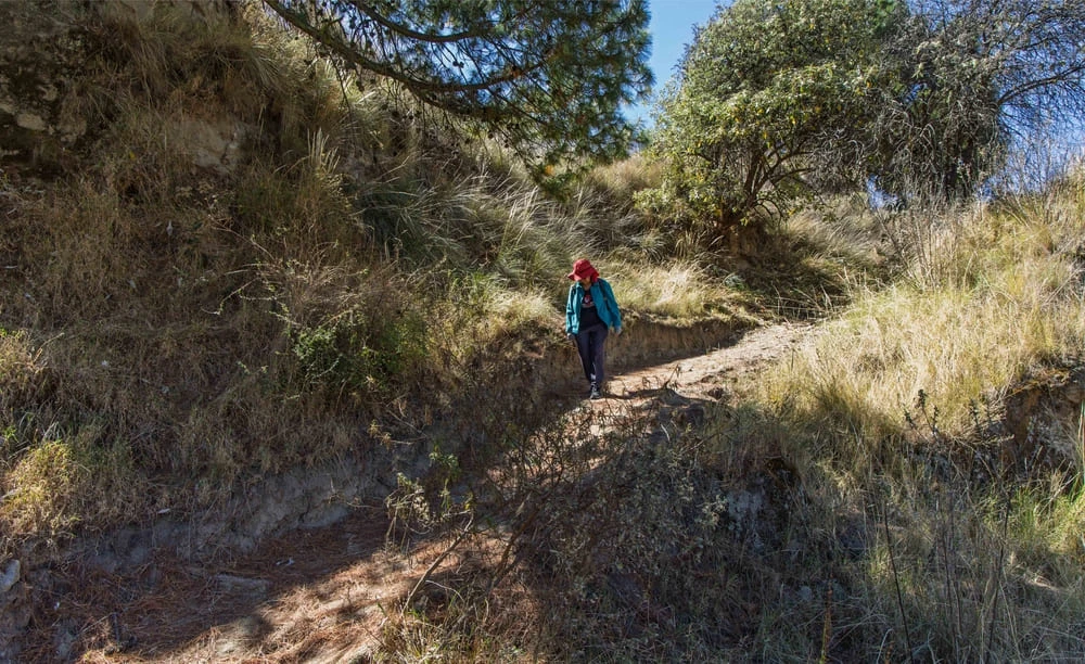 Gastronomía de Huamantla Tradicional Huahitlax Turismo Comunitario