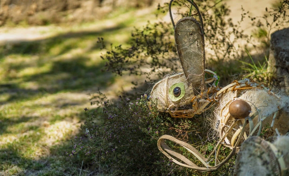 Gastronomía de Huamantla Tradicional Huahitlax Turismo Comunitario
