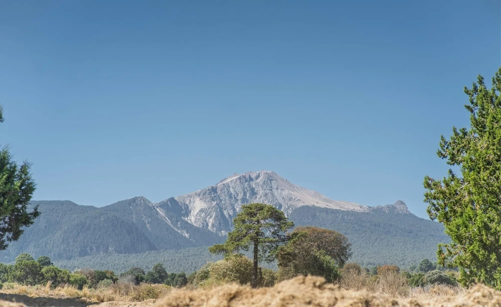 Gastronomía de Huamantla Tradicional Huahitlax Turismo Comunitario
