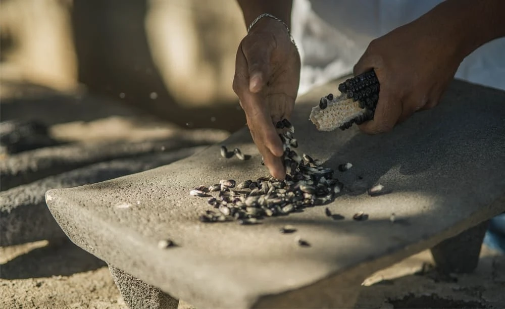 Huamantla Tradicional Metlatl Turismo Comunitario