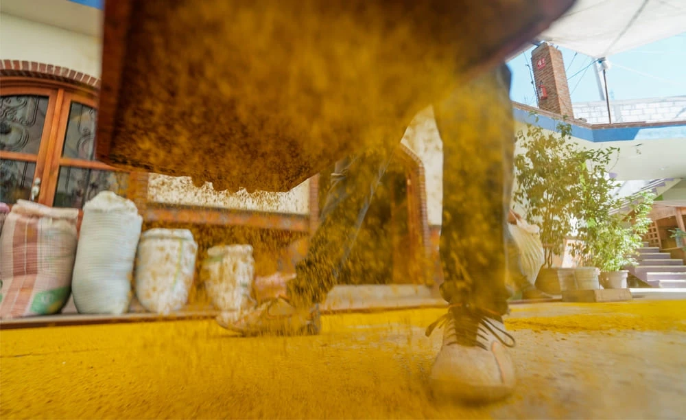 ARTE MAGICO DE HUAMANTLA Tlaxcala Pueblo Magico