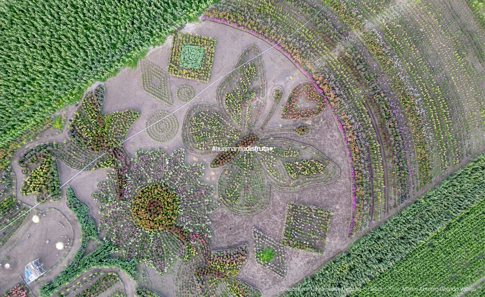 Jardín de Dalias Caridad Turismo Comunitario en Huamantla Tlaxcala Pueblo Mágico