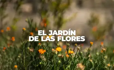Jardín de las Flores Turismo Comunitario en Huamantla Tlaxcala Pueblo Mágico