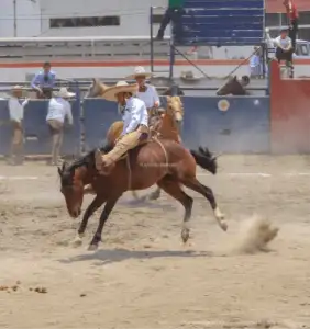Torneo Charro