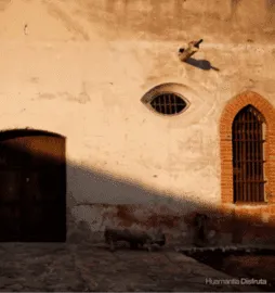 Arquitectura de una hacienda histórica de Huamantla