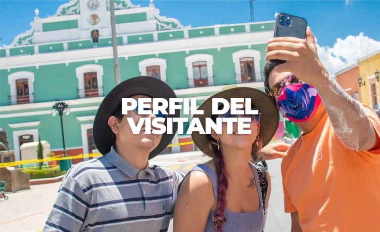 Perfil del Visitante