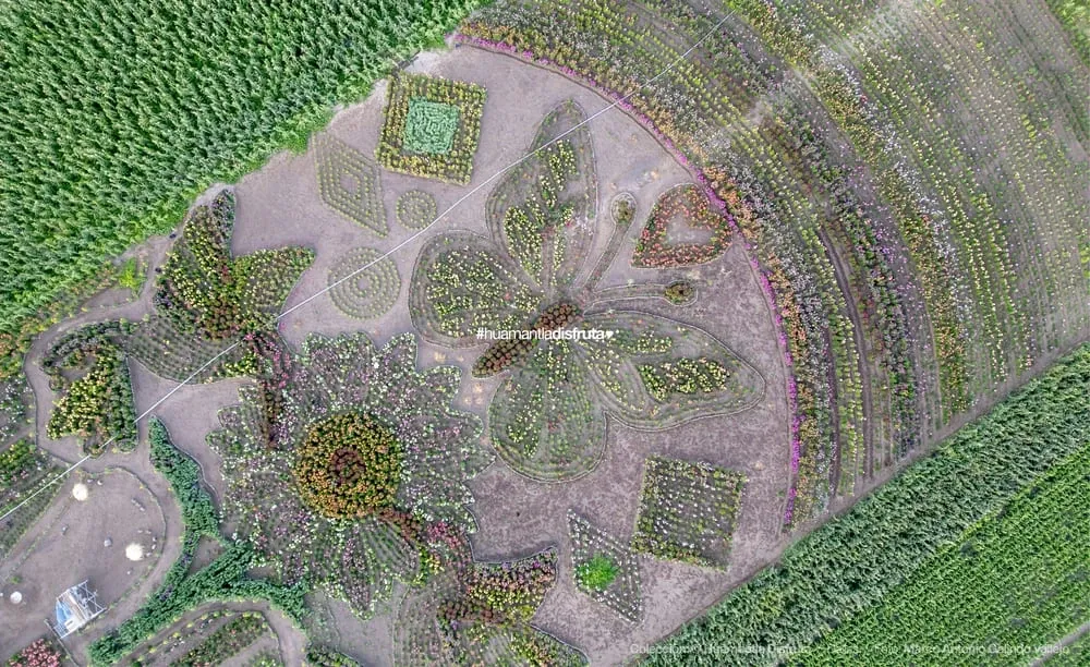 Jardín de Dalias Caridad Turismo Comunitario en Huamantla Tlaxcala Pueblo Mágico