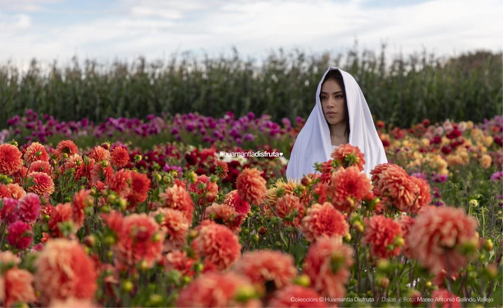Jardín de Dalias Caridad Turismo Comunitario en Huamantla Tlaxcala Pueblo Mágico