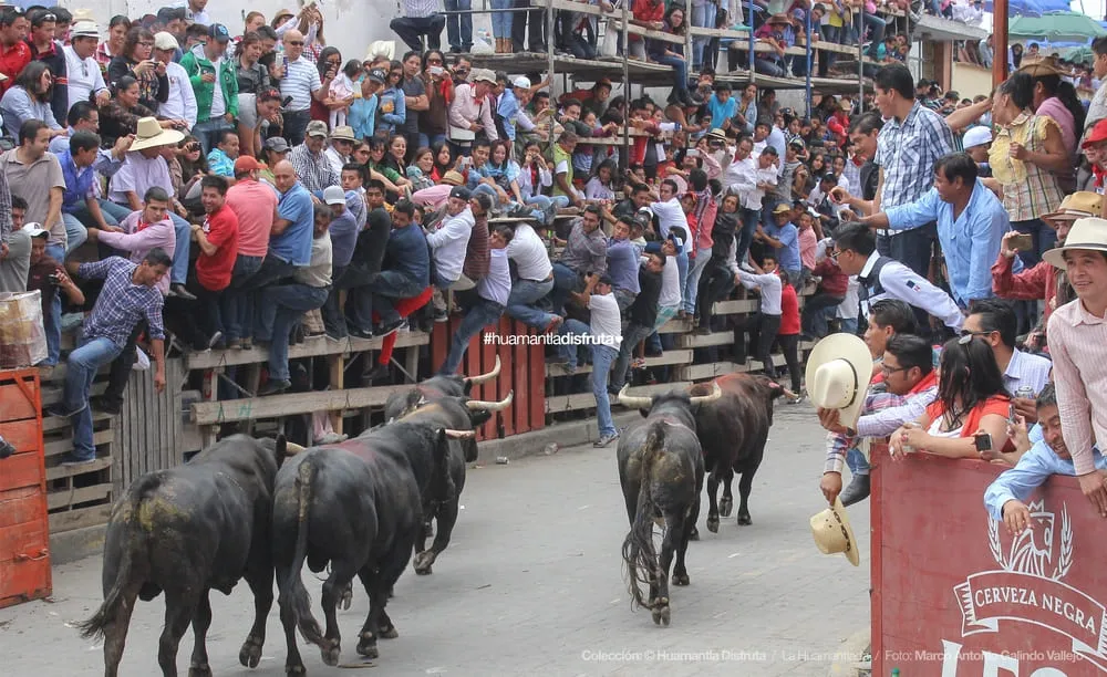 Toros en la Huamantlada | Huamantla, Tlaxcala