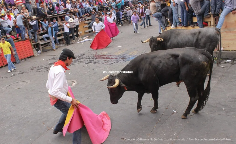 Torero en la Huamantlada | Huamantla, Tlaxcala