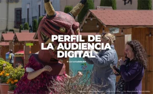 Perfil de la Audiencia Digital