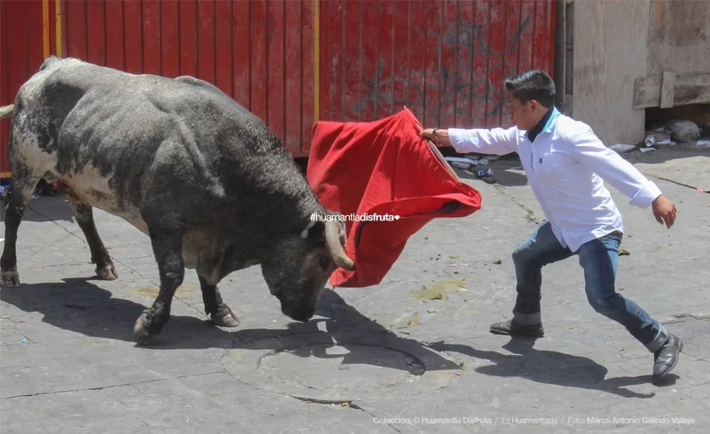 Maletilla y toro en la Huamantlada
